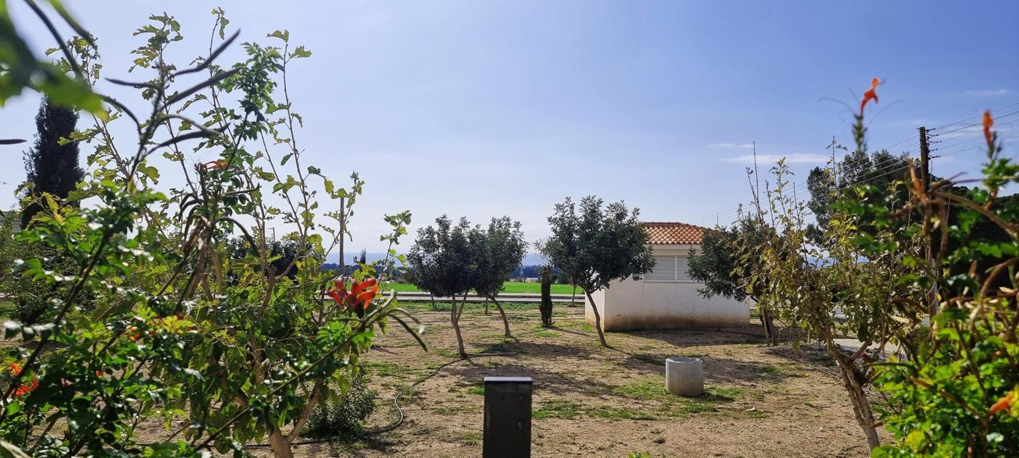 Shanti Paphos Villa エクステリア 写真