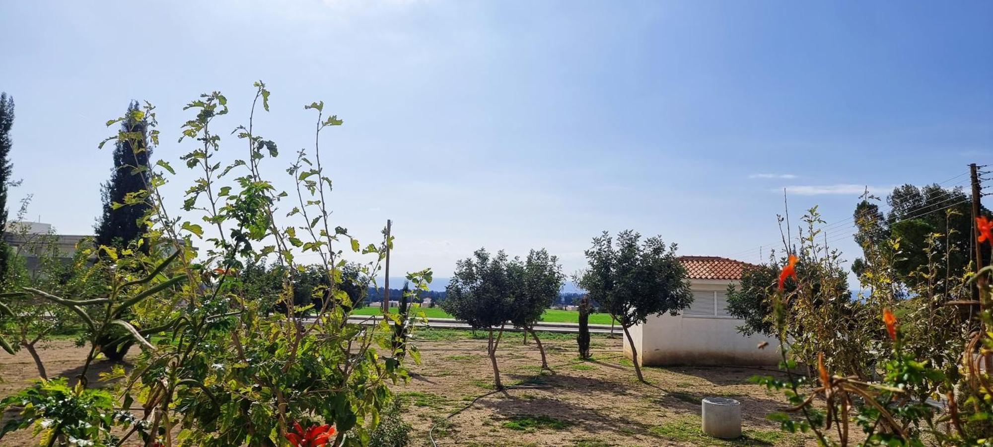 Shanti Paphos Villa エクステリア 写真